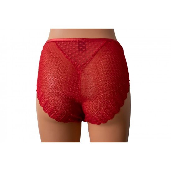 Vanilya Secret Asorti Kırmızı Yüksek Bel Bikini Külot Vanilya Secret Asorti Kırmızı Yüksek Bel Bikini Külot
